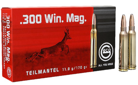 RWS Geco Ammunition 300 Win Mag Teilmantel 170 Grain Soft Point (20pk)