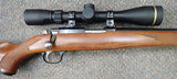 Ruger M77/17  17 HMR  (27916)