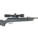 Gamo Big Cat 1000 .22 Air (30678)