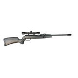Gamo Swarm Evo 10X Gen 3i .177 (30706)