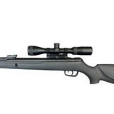 Gamo Big Cat 1000 .22 Air (30678)