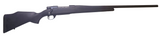 Weatherby Vanguard 270 Winchester (29784)