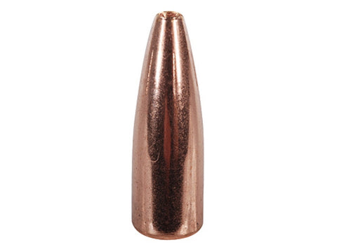 Speer TNT Varmint Bullets 204 Ruger (204 Caliber) 39 Grain Jacketed Hollow Point (100pk)