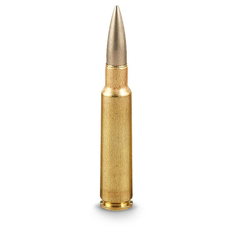 Prvi Partizan PPU Ammunition 7.5mm Schmidt-Rubin (7.5x55 Swiss) 174 FMJ (20pk)