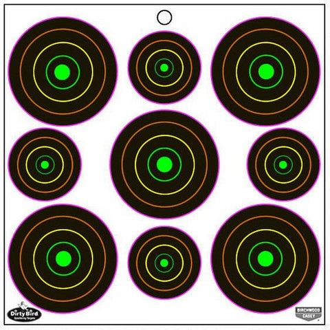 Birchwood Casey Dirty Bird Multi Color Splattering Targets 80 2" Targets, 100 3" Targets